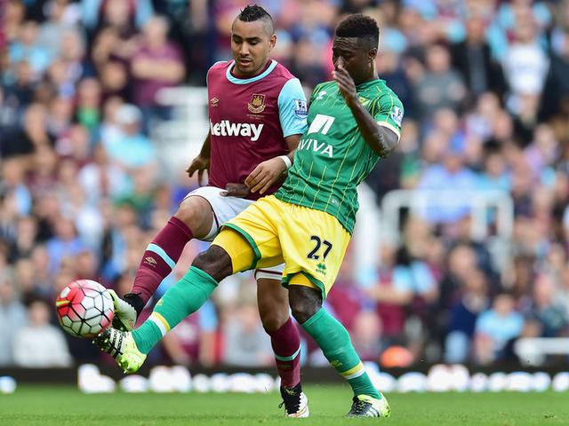 数量显著高 数量显著高