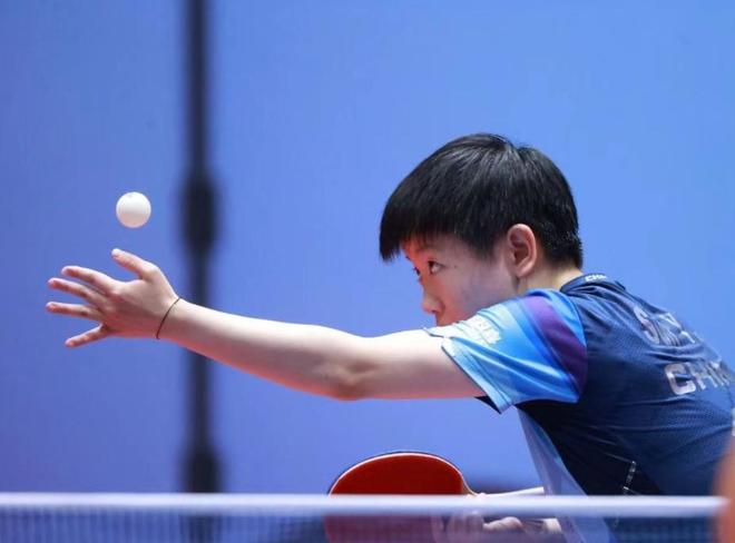 组织和选手 组织和选手